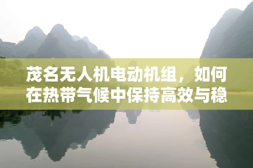茂名无人机电动机组，如何在热带气候中保持高效与稳定？