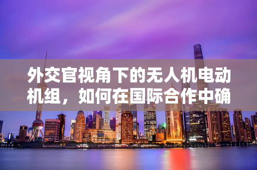 外交官视角下的无人机电动机组，如何在国际合作中确保安全与效率？