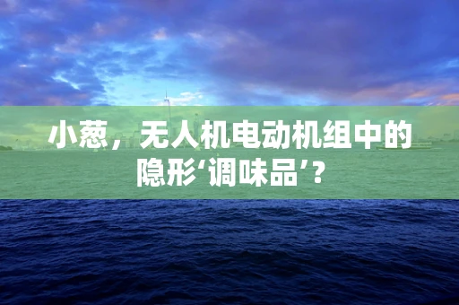 小葱，无人机电动机组中的隐形‘调味品’？