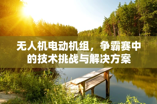 无人机电动机组，争霸赛中的技术挑战与解决方案