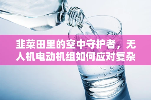 韭菜田里的空中守护者，无人机电动机组如何应对复杂环境？