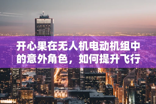 开心果在无人机电动机组中的意外角色，如何提升飞行稳定性？
