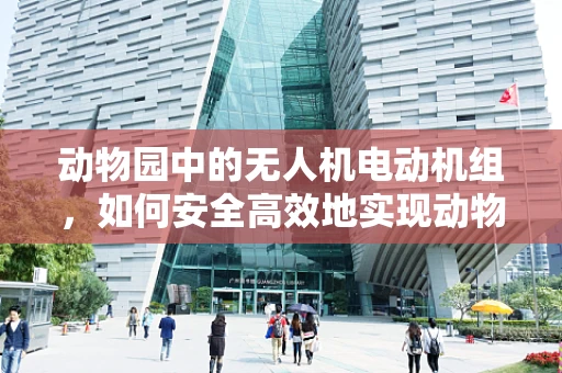 动物园中的无人机电动机组，如何安全高效地实现动物追踪？