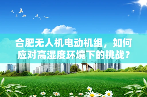 合肥无人机电动机组，如何应对高湿度环境下的挑战？