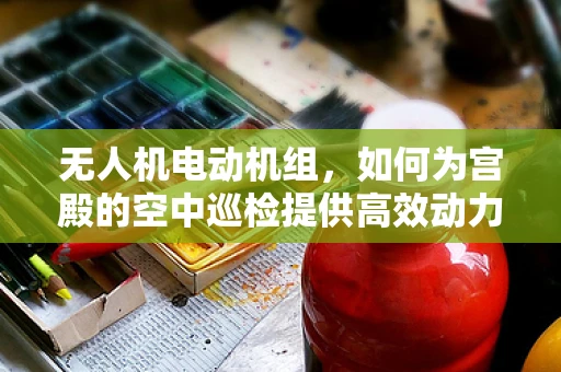 无人机电动机组，如何为宫殿的空中巡检提供高效动力？