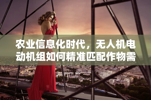 农业信息化时代，无人机电动机组如何精准匹配作物需求？