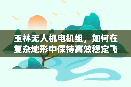 玉林无人机电机组，如何在复杂地形中保持高效稳定飞行？