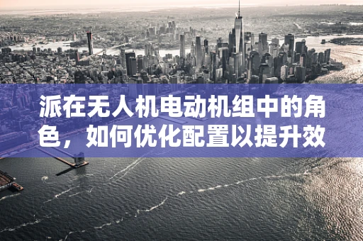派在无人机电动机组中的角色，如何优化配置以提升效率？