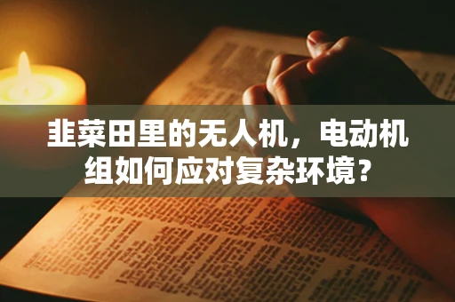 韭菜田里的无人机，电动机组如何应对复杂环境？