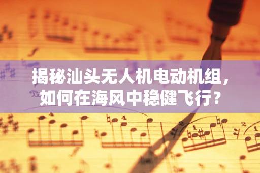 揭秘汕头无人机电动机组，如何在海风中稳健飞行？
