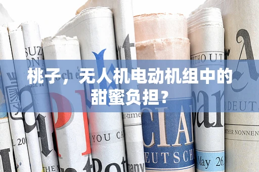 桃子，无人机电动机组中的甜蜜负担？