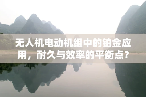 无人机电动机组中的铂金应用，耐久与效率的平衡点？
