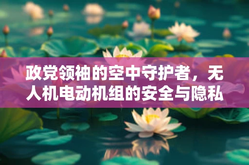 政党领袖的空中守护者，无人机电动机组的安全与隐私边界