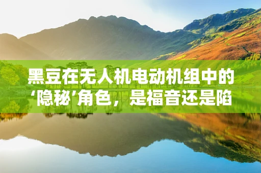 黑豆在无人机电动机组中的‘隐秘’角色，是福音还是陷阱？