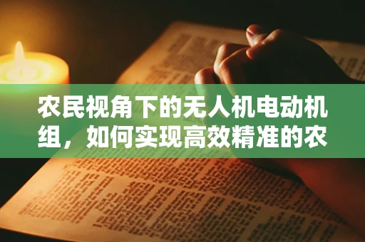 农民视角下的无人机电动机组，如何实现高效精准的农田作业？