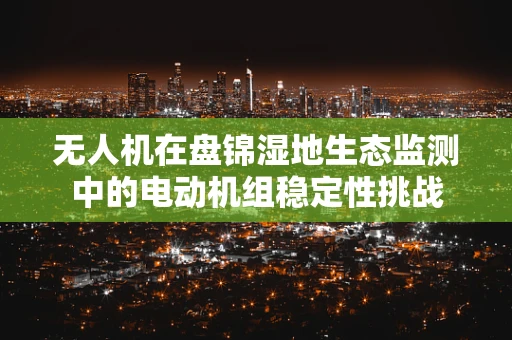 无人机在盘锦湿地生态监测中的电动机组稳定性挑战