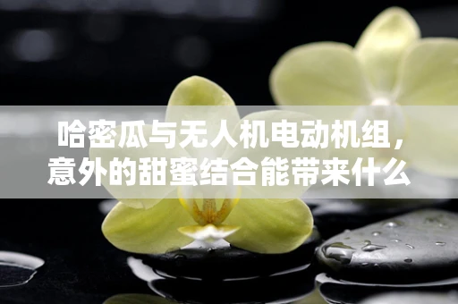 哈密瓜与无人机电动机组，意外的甜蜜结合能带来什么技术革新？