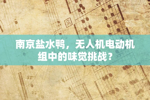 南京盐水鸭，无人机电动机组中的味觉挑战？