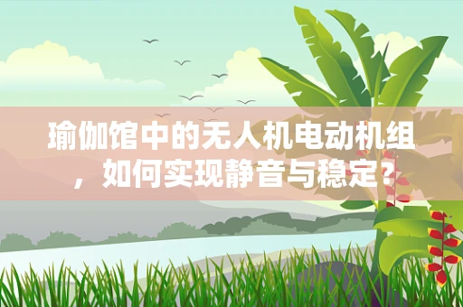 瑜伽馆中的无人机电动机组，如何实现静音与稳定？
