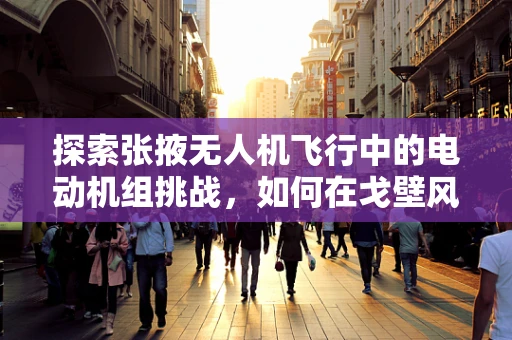探索张掖无人机飞行中的电动机组挑战，如何在戈壁风沙中保持稳定？