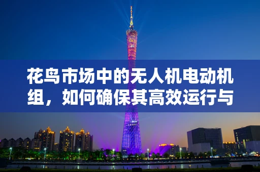 花鸟市场中的无人机电动机组，如何确保其高效运行与安全？