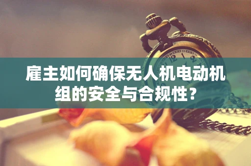 雇主如何确保无人机电动机组的安全与合规性？