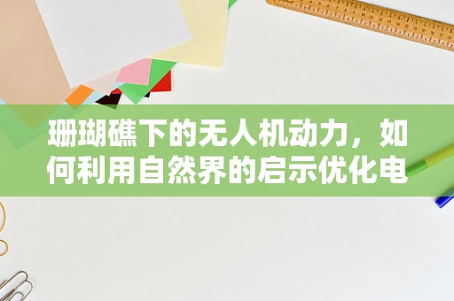 珊瑚礁下的无人机动力，如何利用自然界的启示优化电动机组？