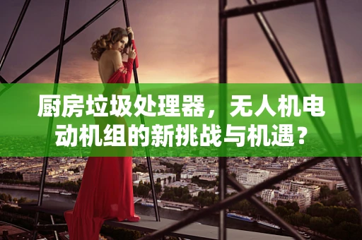 厨房垃圾处理器，无人机电动机组的新挑战与机遇？