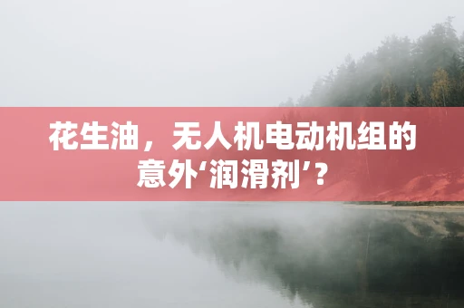 花生油，无人机电动机组的意外‘润滑剂’？