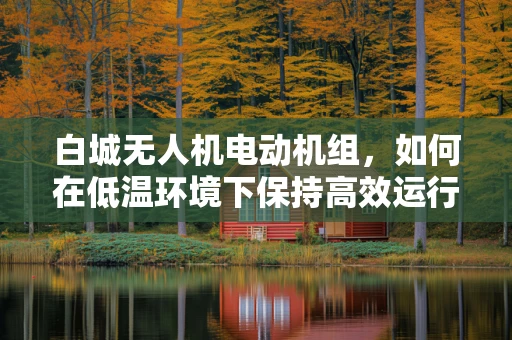 白城无人机电动机组，如何在低温环境下保持高效运行？