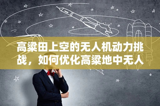 高粱田上空的无人机动力挑战，如何优化高粱地中无人机电动机组的效能？
