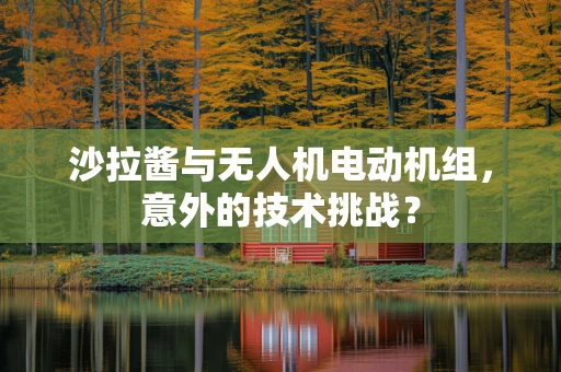 沙拉酱与无人机电动机组，意外的技术挑战？