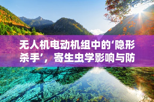 无人机电动机组中的‘隐形杀手’，寄生虫学影响与防控策略