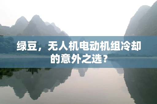 绿豆，无人机电动机组冷却的意外之选？