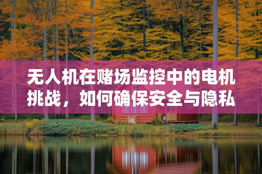 无人机在赌场监控中的电机挑战，如何确保安全与隐私的平衡？