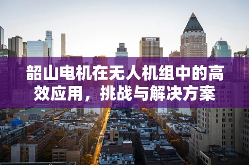 韶山电机在无人机组中的高效应用，挑战与解决方案