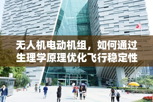 无人机电动机组，如何通过生理学原理优化飞行稳定性？