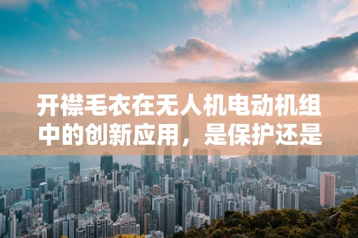 开襟毛衣在无人机电动机组中的创新应用，是保护还是多余？