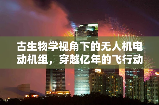 古生物学视角下的无人机电动机组，穿越亿年的飞行动力探索
