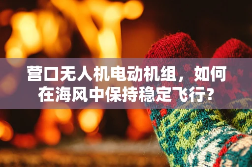 营口无人机电动机组，如何在海风中保持稳定飞行？