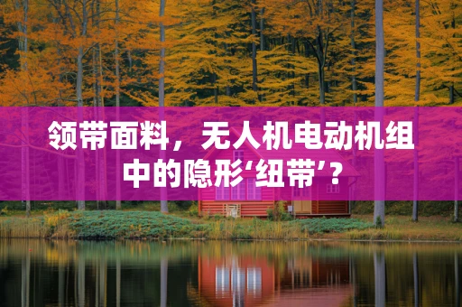 领带面料，无人机电动机组中的隐形‘纽带’？