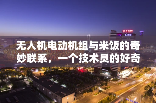 无人机电动机组与米饭的奇妙联系，一个技术员的好奇探索