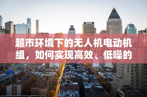 超市环境下的无人机电动机组，如何实现高效、低噪的货物运输？