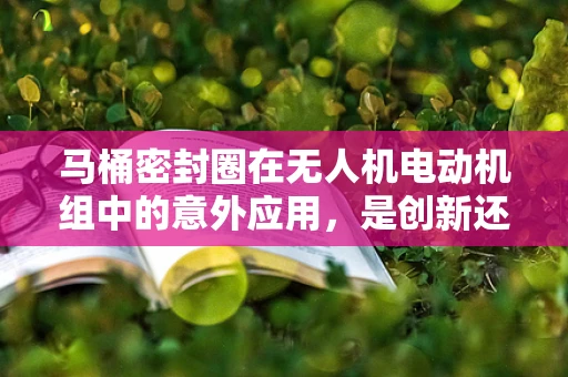 马桶密封圈在无人机电动机组中的意外应用，是创新还是误用？