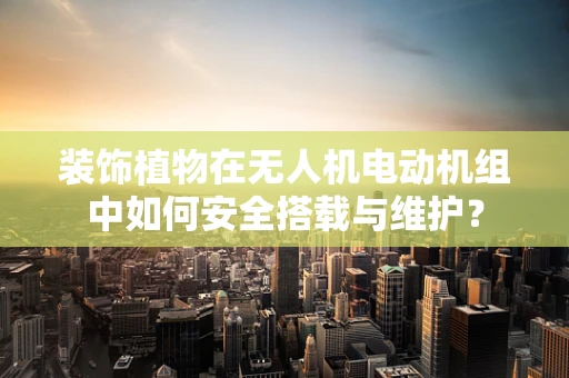 装饰植物在无人机电动机组中如何安全搭载与维护？