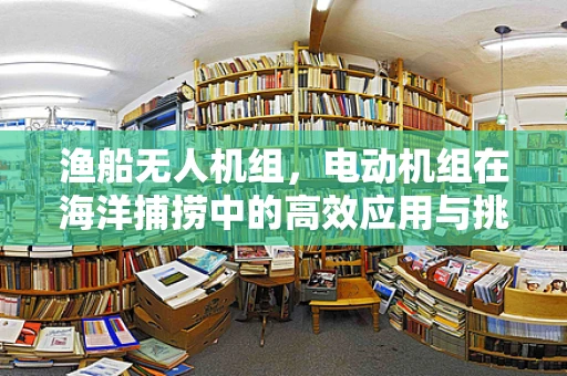 渔船无人机组，电动机组在海洋捕捞中的高效应用与挑战？