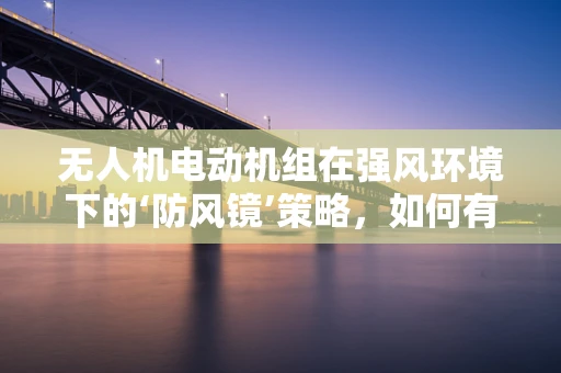 无人机电动机组在强风环境下的‘防风镜’策略，如何有效提升抗风性能？
