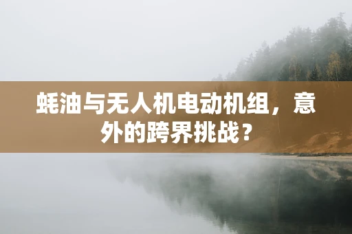 蚝油与无人机电动机组，意外的跨界挑战？
