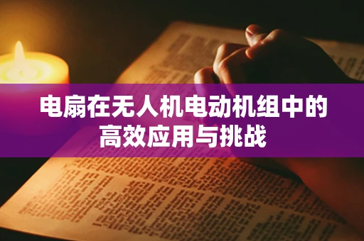 电扇在无人机电动机组中的高效应用与挑战