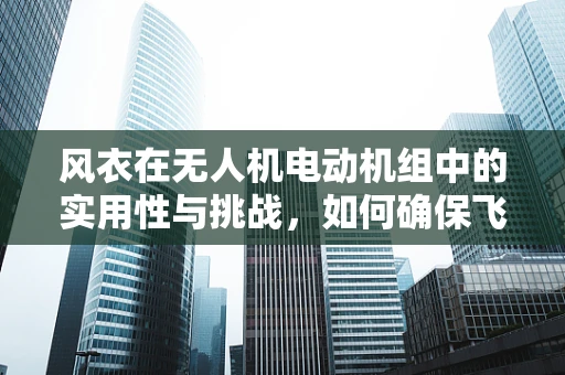 风衣在无人机电动机组中的实用性与挑战，如何确保飞行安全？